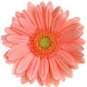 Meet your Posher, Christy